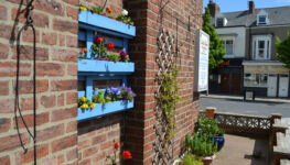 South Shore - west wall showing flowers and trellis.